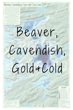 Beaver, Gold and Cold Lake