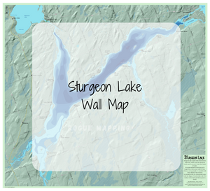 Sturgeon Lake Wall Map